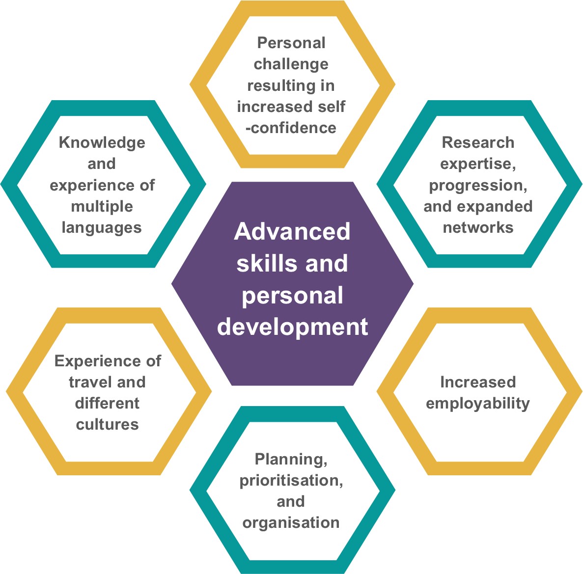 Section 1 - Why. Skills and development Infographic